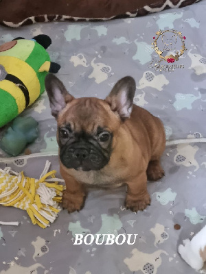 U'BOUBOU