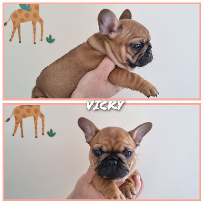 VICKY