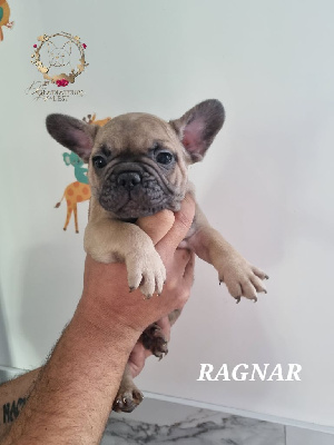 U'RAGNAR